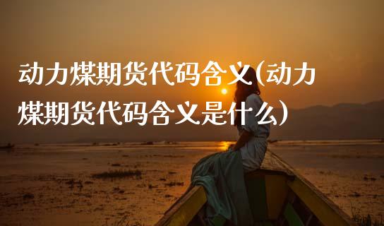 动力煤期货代码含义(动力煤期货代码含义是什么)_https://www.zztgc.com_期货行情_第1张