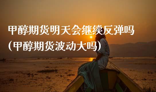 甲醇期货明天会继续反弹吗(甲醇期货波动大吗)_https://www.zztgc.com_期货行情_第1张