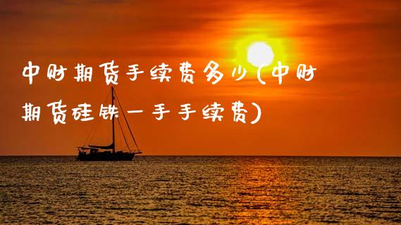 中财期货手续费多少(中财期货硅铁一手手续费)_https://www.zztgc.com_原油期货_第1张