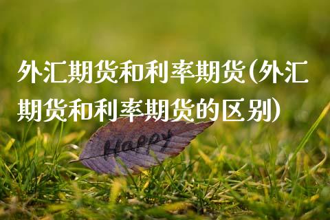 外汇期货和利率期货(外汇期货和利率期货的区别)_https://www.zztgc.com_原油期货_第1张