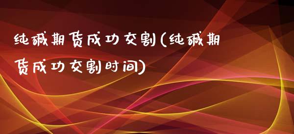 纯碱期货成功交割(纯碱期货成功交割时间)_https://www.zztgc.com_原油期货_第1张
