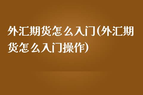 外汇期货怎么入门(外汇期货怎么入门操作)_https://www.zztgc.com_原油期货_第1张