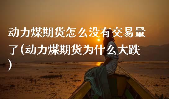 动力煤期货怎么没有交易量了(动力煤期货为什么大跌)_https://www.zztgc.com_期货直播_第1张