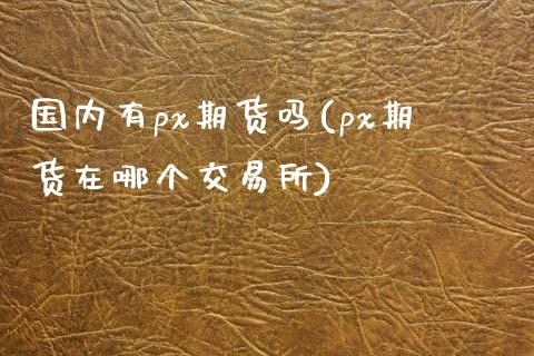 国内有px期货吗(px期货在哪个交易所)_https://www.zztgc.com_期货直播_第1张