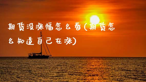 期货没涨幅怎么看(期货怎么知道自己在涨)_https://www.zztgc.com_期货行情_第1张