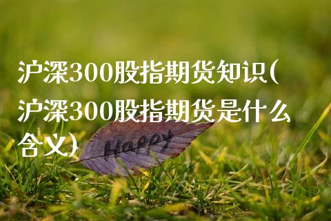 沪深300股指期货知识(沪深300股指期货是什么含义)_https://www.zztgc.com_期货行情_第1张
