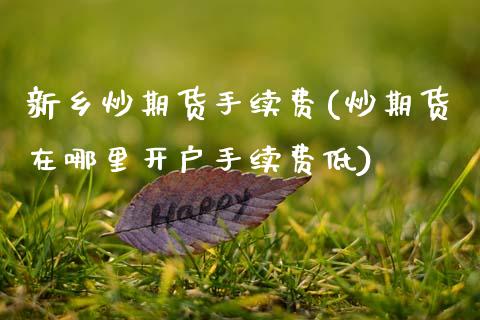 新乡炒期货手续费(炒期货在哪里开户手续费低)_https://www.zztgc.com_原油期货_第1张