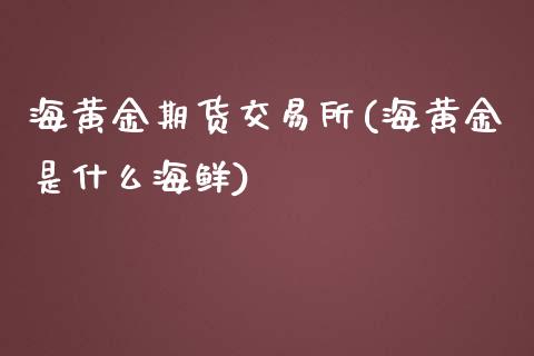 海黄金期货交易所(海黄金是什么海鲜)_https://www.zztgc.com_原油期货_第1张