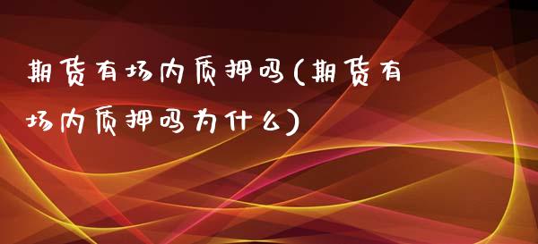 期货有场内质押吗(期货有场内质押吗为什么)_https://www.zztgc.com_期货行情_第1张