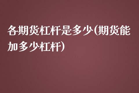 各期货杠杆是多少(期货能加多少杠杆)_https://www.zztgc.com_期货行情_第1张