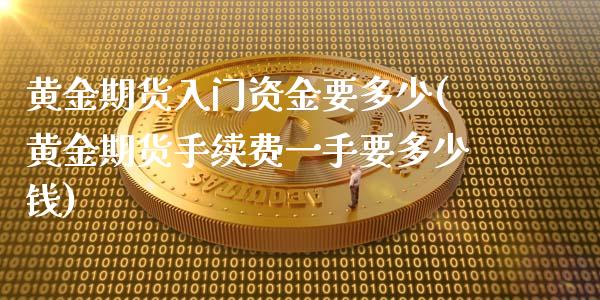 黄金期货入门资金要多少(黄金期货手续费一手要多少钱)_https://www.zztgc.com_黄金期货_第1张
