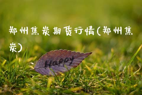 郑州焦炭期货行情(郑州焦炭)_https://www.zztgc.com_期货行情_第1张