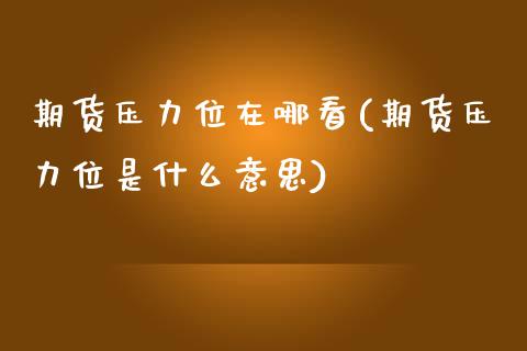 期货压力位在哪看(期货压力位是什么意思)_https://www.zztgc.com_黄金期货_第1张