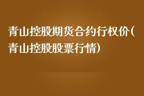 青山控股期货合约行权价(青山控股股票行情)_https://www.zztgc.com_期货入门_第1张