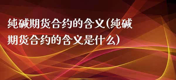 纯碱期货合约的含义(纯碱期货合约的含义是什么)_期货入门_第1张_珍投期货网 纯碱期货合约的含义(纯碱期货合约的含义是什么)_https://www.zztgc.com_期货入门_第1张