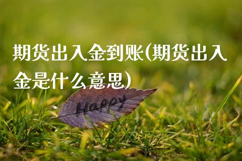 期货出入金到账(期货出入金是什么意思)_https://www.zztgc.com_期货行情_第1张