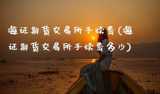 海证期货交易所手续费(海证期货交易所手续费多少)_https://www.zztgc.com_期货直播_第1张