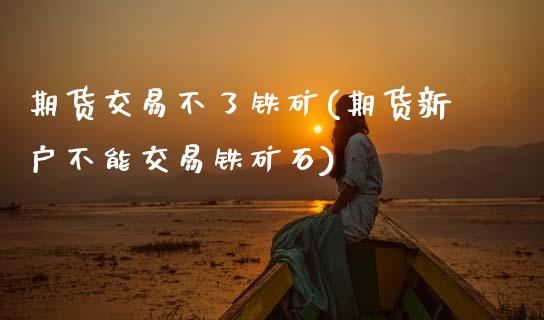 期货交易不了铁矿(期货新户不能交易铁矿石)_https://www.zztgc.com_期货入门_第1张