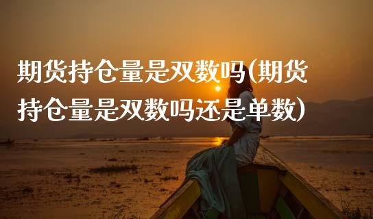 期货持仓量是双数吗(期货持仓量是双数吗还是单数)_https://www.zztgc.com_原油期货_第1张