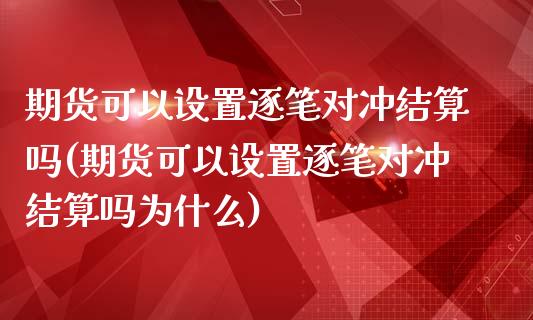 期货可以设置逐笔对冲结算吗(期货可以设置逐笔对冲结算吗为什么)_https://www.zztgc.com_原油期货_第1张