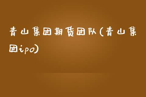 青山集团期货团队(青山集团ipo)_https://www.zztgc.com_期货行情_第1张
