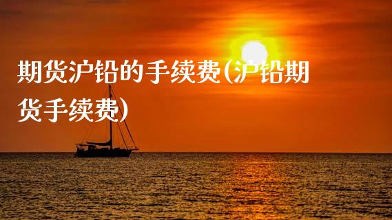 期货沪铅的手续费(沪铅期货手续费)_https://www.zztgc.com_期货直播_第1张