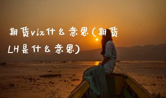 期货vlx什么意思(期货LH是什么意思)_https://www.zztgc.com_期货开户_第1张