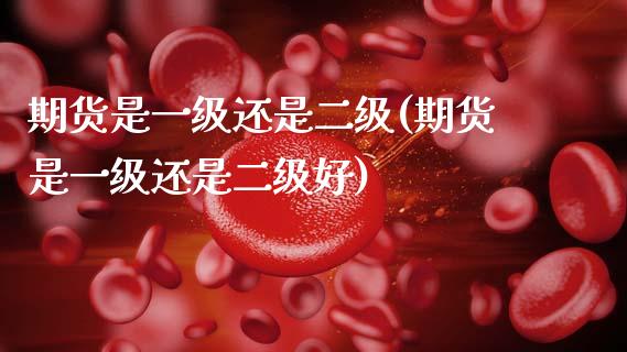 期货是一级还是二级(期货是一级还是二级好)_https://www.zztgc.com_期货开户_第1张
