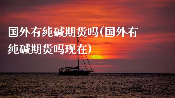 国外有纯碱期货吗(国外有纯碱期货吗现在)_https://www.zztgc.com_黄金期货_第1张