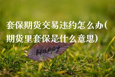 套保期货交易违约怎么办(期货里套保是什么意思)_https://www.zztgc.com_期货行情_第1张