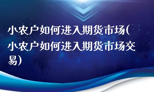 小农户如何进入期货市场(小农户如何进入期货市场交易)_https://www.zztgc.com_期货行情_第1张