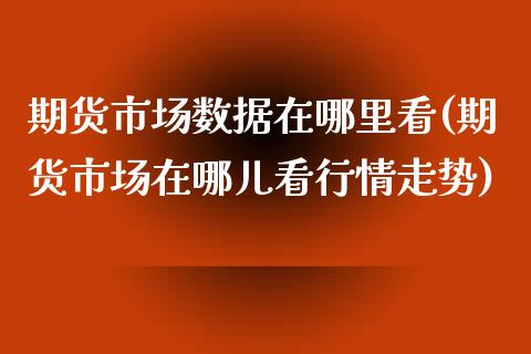 期货市场数据在哪里看(期货市场在哪儿看行情走势)_https://www.zztgc.com_期货开户_第1张