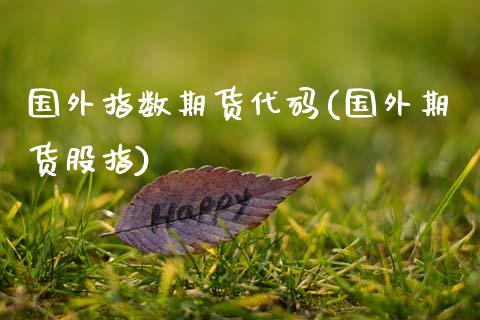 国外指数期货代码(国外期货股指)_https://www.zztgc.com_期货行情_第1张