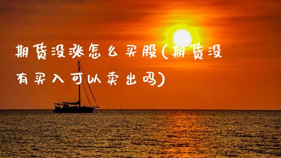 期货没涨怎么买股(期货没有买入可以卖出吗)_https://www.zztgc.com_期货入门_第1张