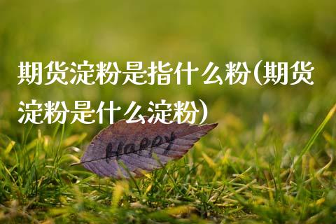 期货淀粉是指什么粉(期货淀粉是什么淀粉)_https://www.zztgc.com_期货入门_第1张